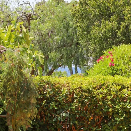 Rdj T3 En Bord De Terrasse By Hc 아파트 카르쿠에이란느