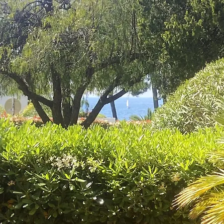 Rdj T3 En Bord De Terrasse By Hc * Carqueiranne